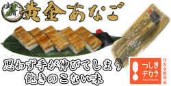 ���i�C���[�W